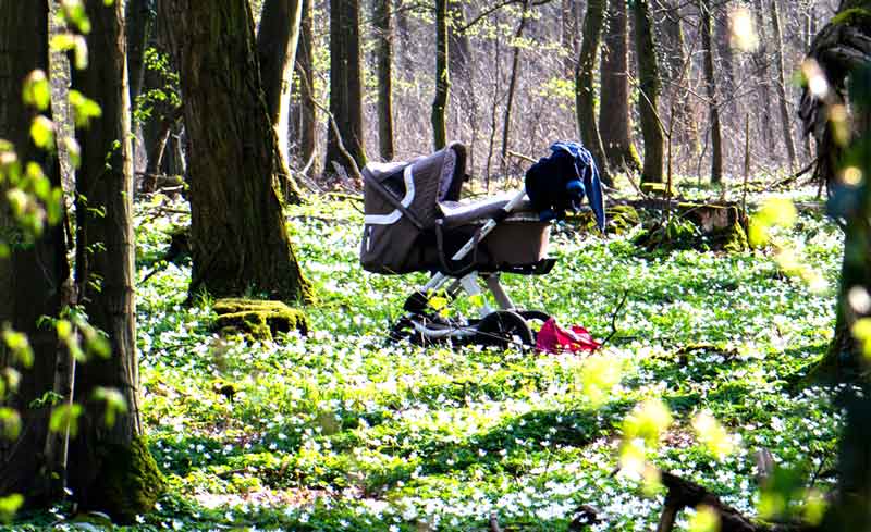 barnvagn i skogen