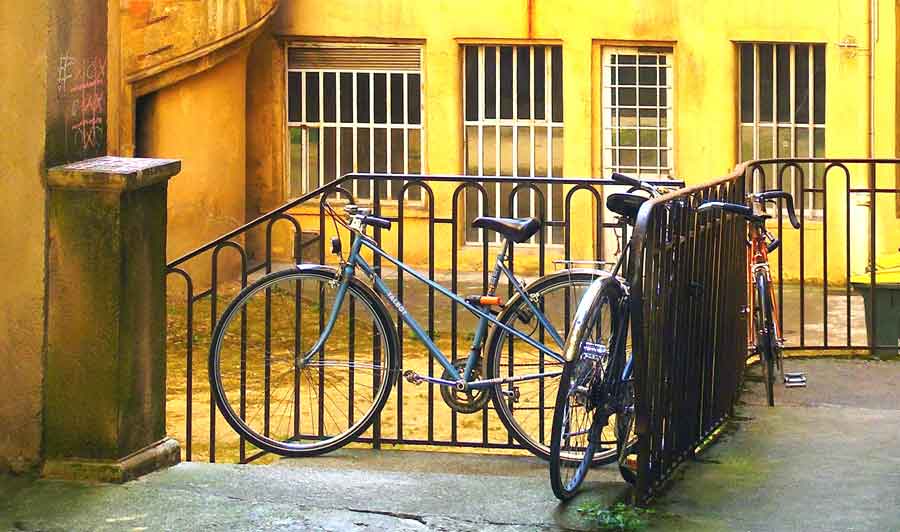 cykel på bakgården