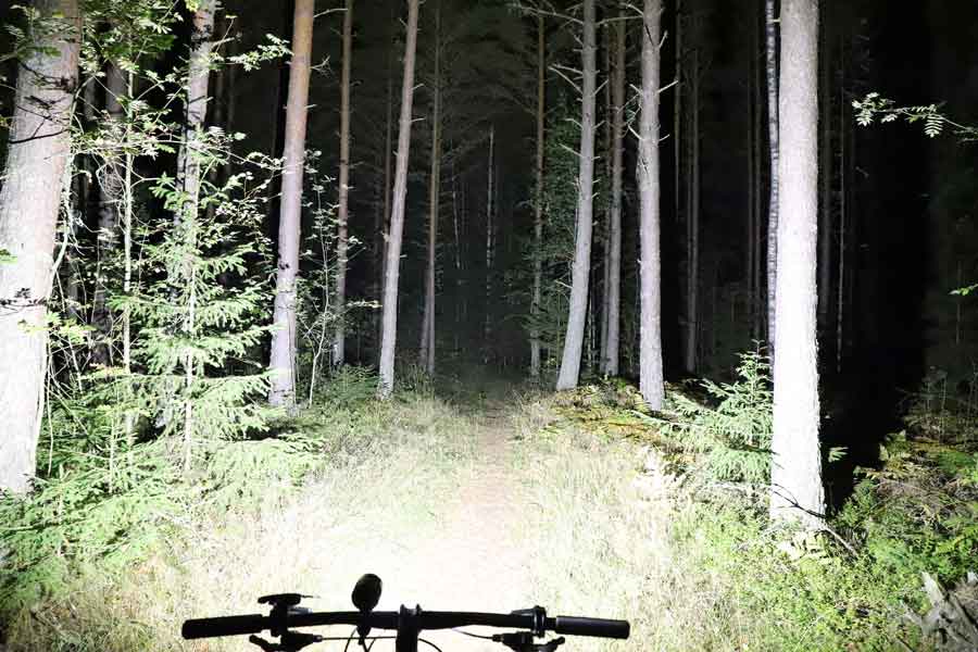 Ljuset från Volt 6000 i skogen